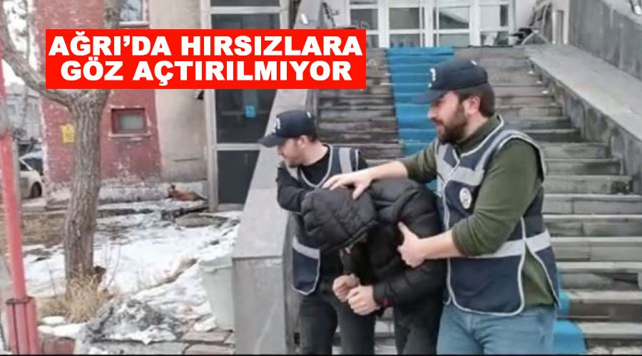 Ağrı’da hırsızlara göz açtırılmıyor