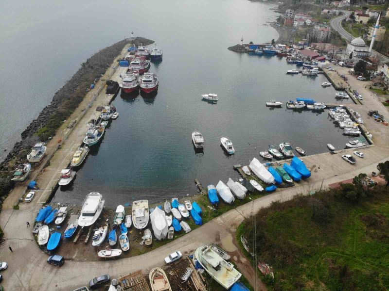 Hamsi ve istavrit olmayınca balıkçılar sezonu erken kapattı
