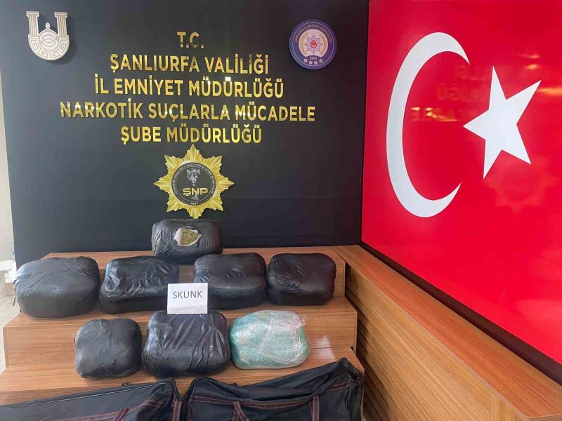 Şanlıurfa’da 32 kilogram skunk ele geçirildi: 2 gözaltı
