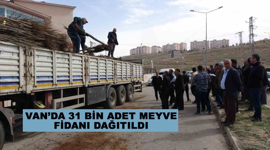 Van’da 31 bin adet meyve fidanı dağıtıldı
