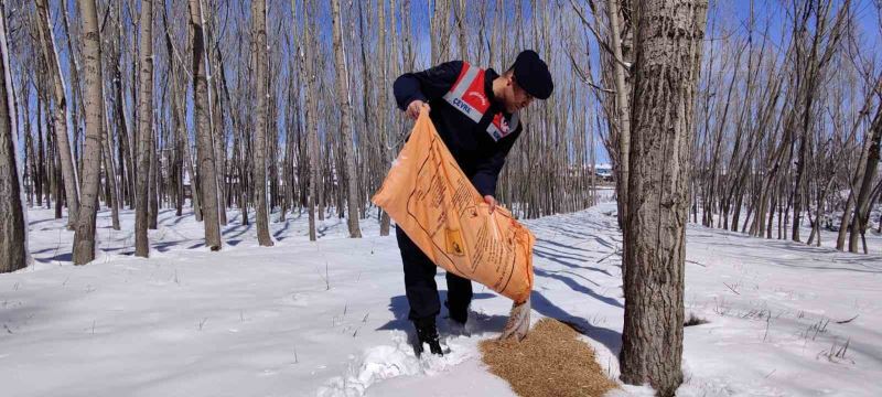 Jandarma doğaya yem bıraktı
