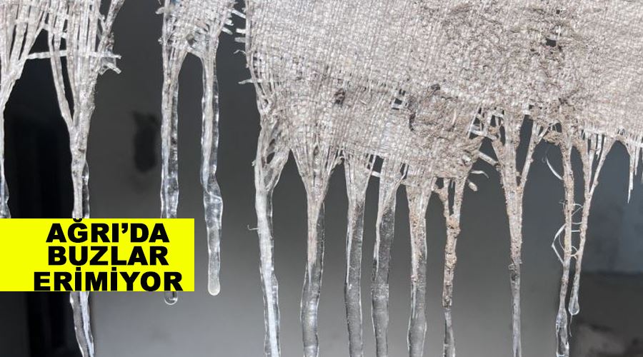 Ağrı’da buzlar erimiyor