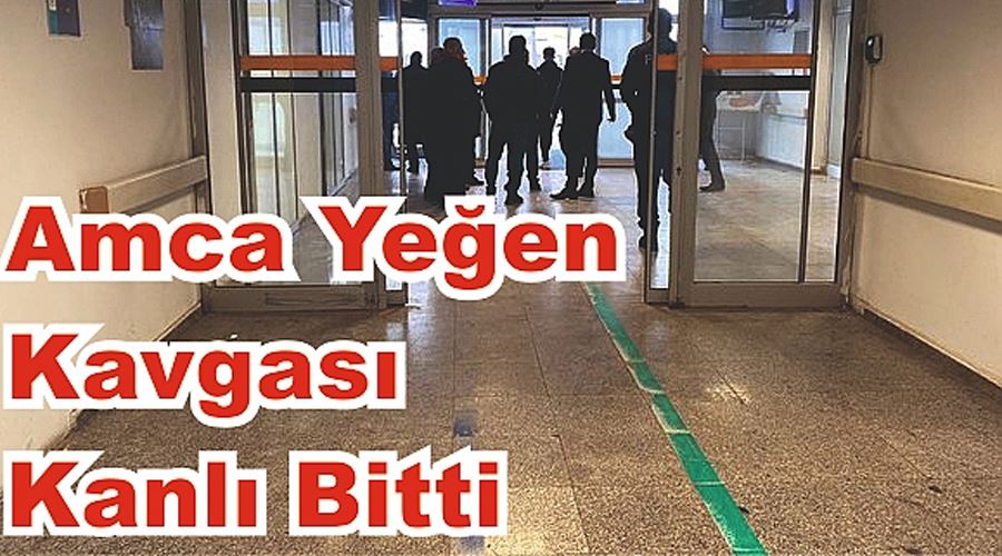 Ağrı’da amca yeğen kavgası kanlı bitti