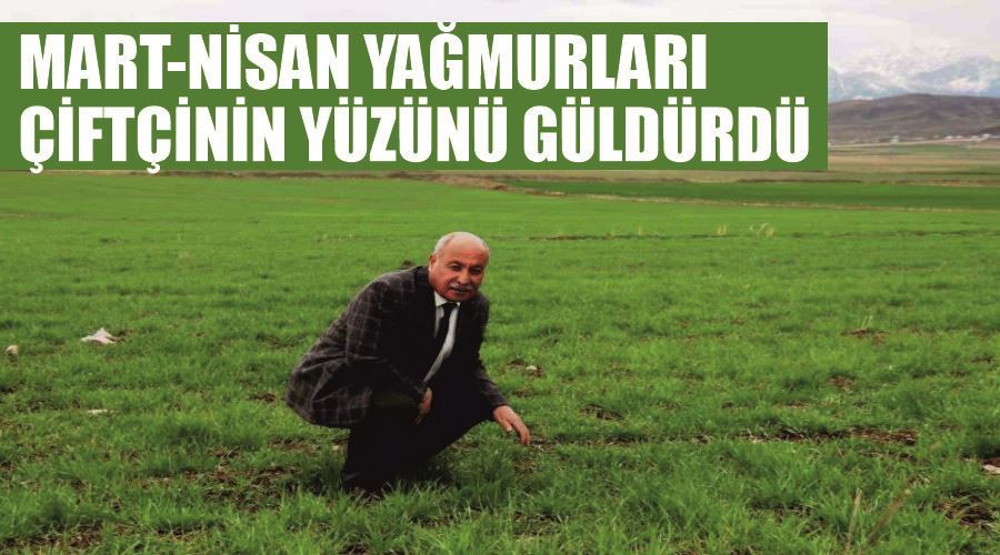 Mart-nisan yağmurları çiftçinin yüzünü güldürdü
