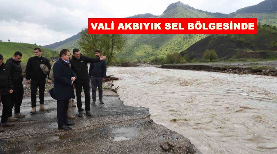 Vali Akbıyık sel bölgesinde