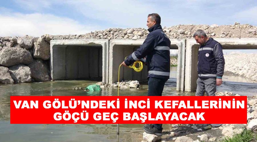 Van Gölü’ndeki inci kefallerinin göçü geç başlayacak