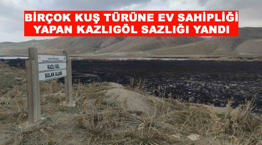 Birçok kuş türüne ev sahipliği yapan Kazlıgöl sazlığı yandı