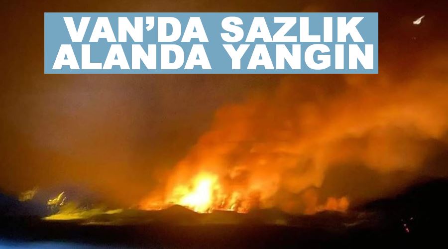 Van’da sazlık alanda yangın