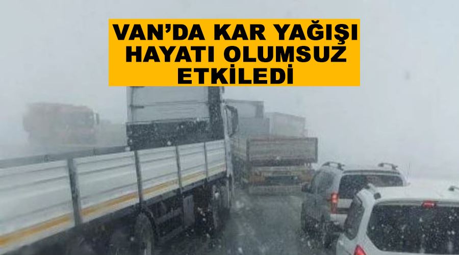 Van’da kar yağışı hayatı olumsuz etkiledi