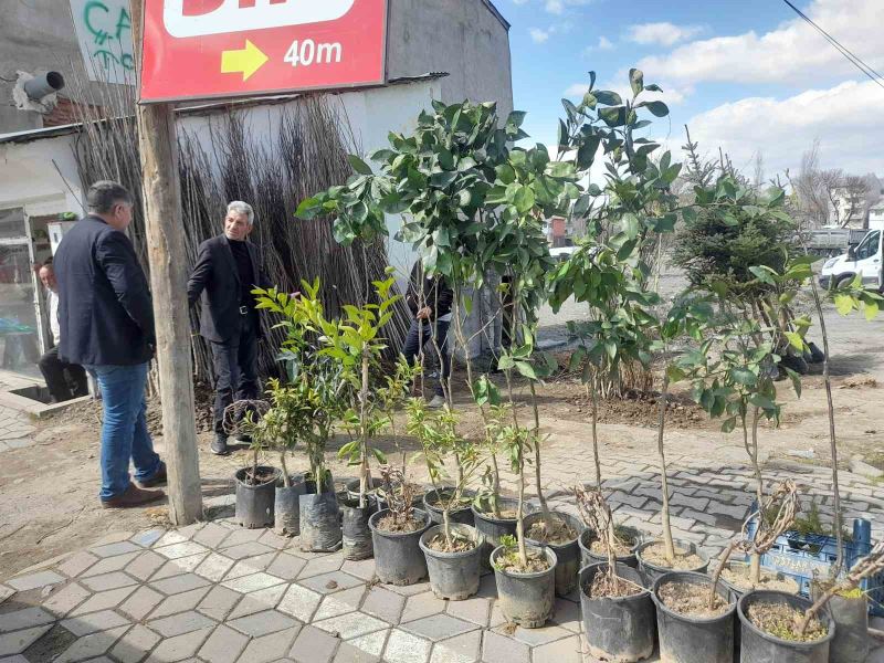 Malazgirt’te fidan satışları başladı
