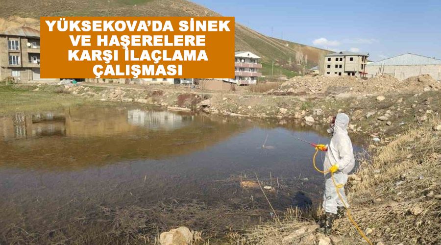 Yüksekova’da sinek ve haşerelere karşı ilaçlama çalışması