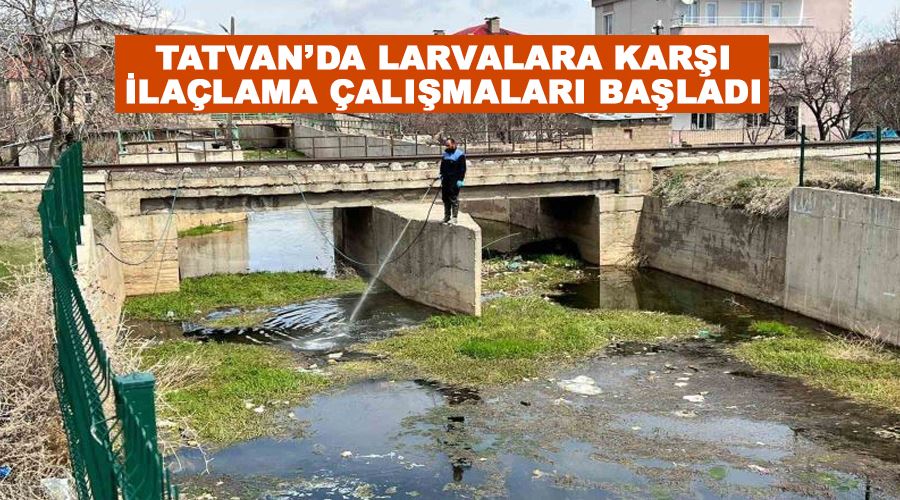 Tatvan’da larvalara karşı ilaçlama çalışmaları başladı