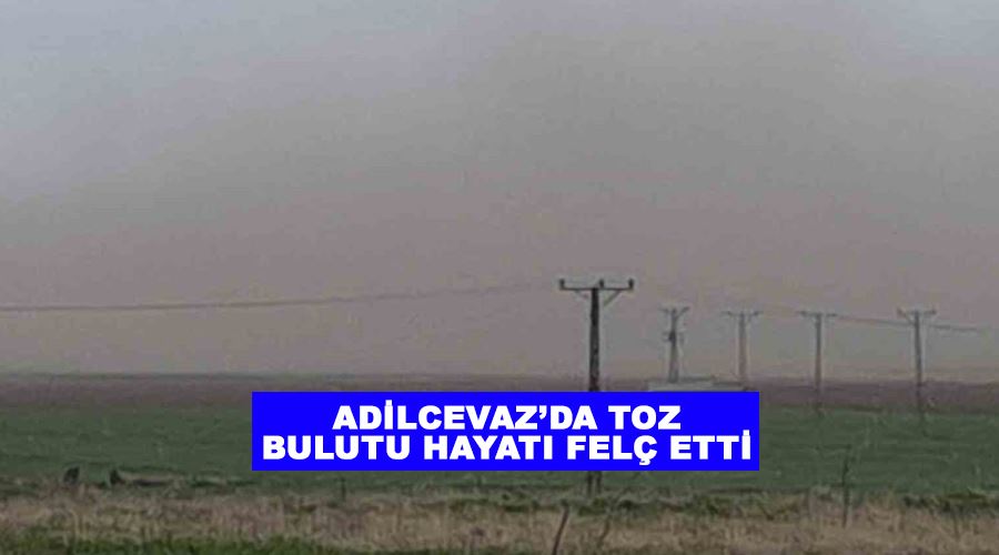 Adilcevaz’da toz bulutu hayatı felç etti