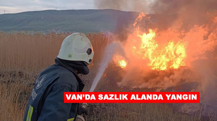Van’da sazlık alanda yangın