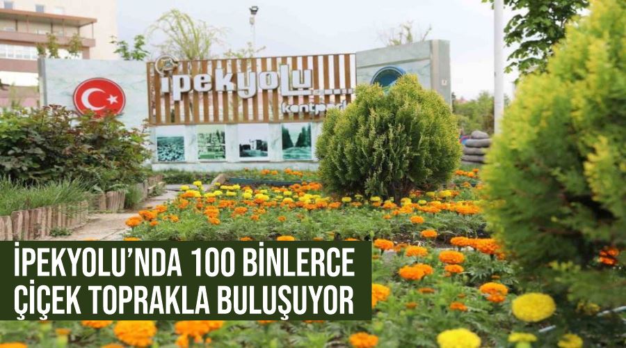 İpekyolu’nda 100 binlerce çiçek toprakla buluşuyor