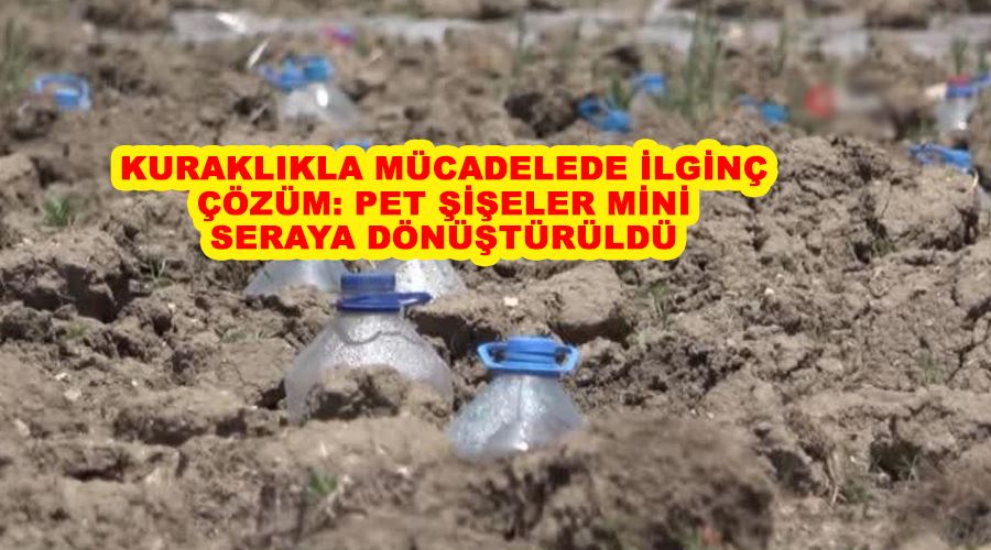 Kuraklıkla mücadelede ilginç çözüm: Pet şişeler mini seraya dönüştürüldü