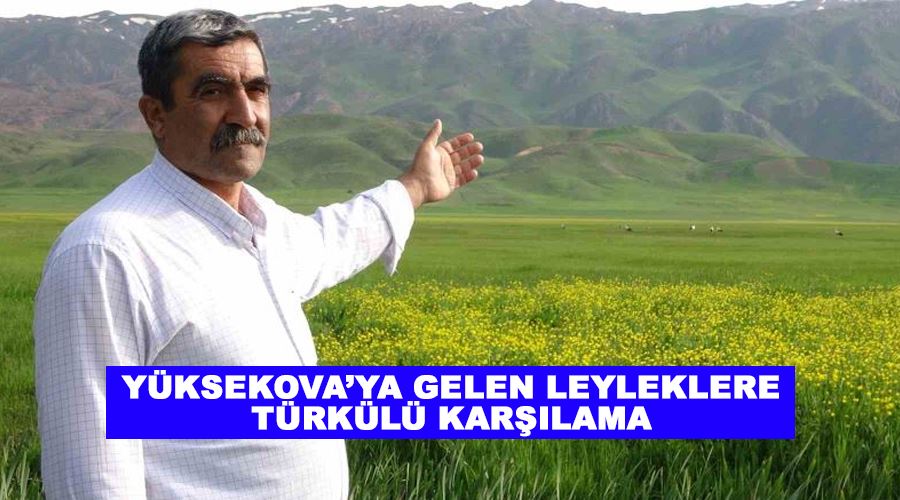 Yüksekova’ya gelen leyleklere türkülü karşılama