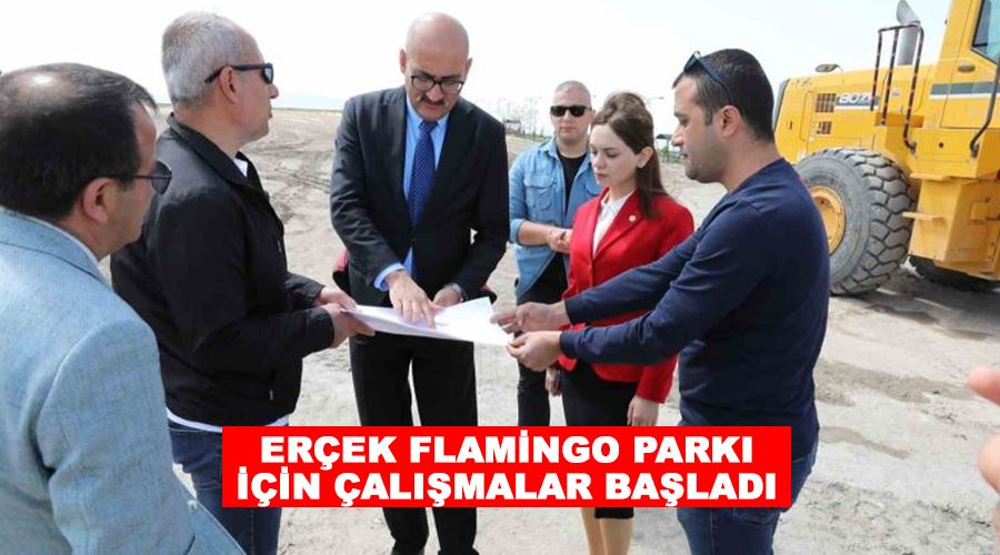 Erçek Flamingo Parkı için çalışmalar başladı
