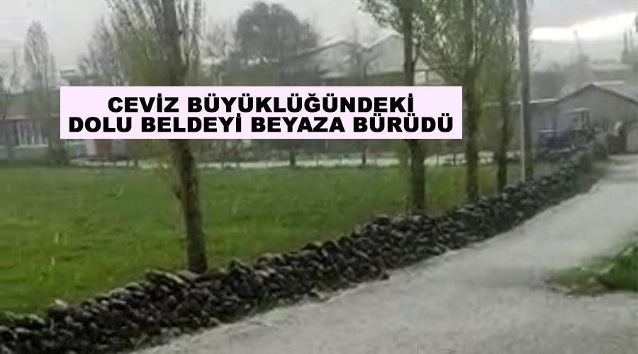 Ceviz büyüklüğündeki dolu beldeyi beyaza bürüdü