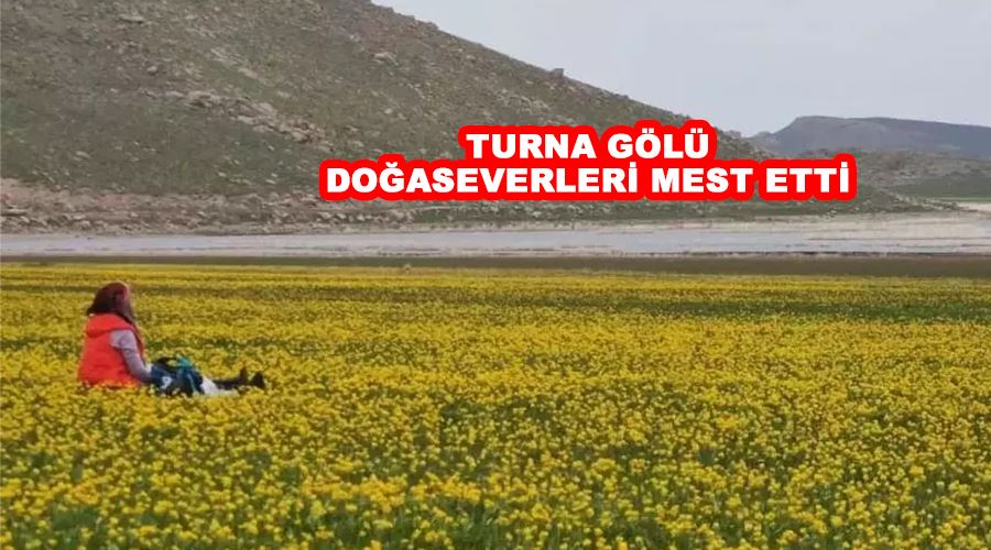 Turna Gölü doğaseverleri mest etti