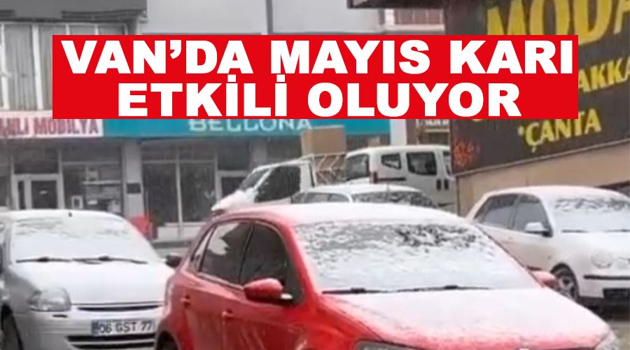 Van’da Mayıs karı etkili oluyor