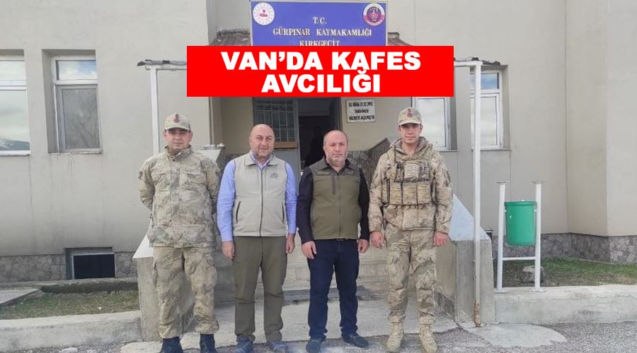 Van’da kafes avcılığı