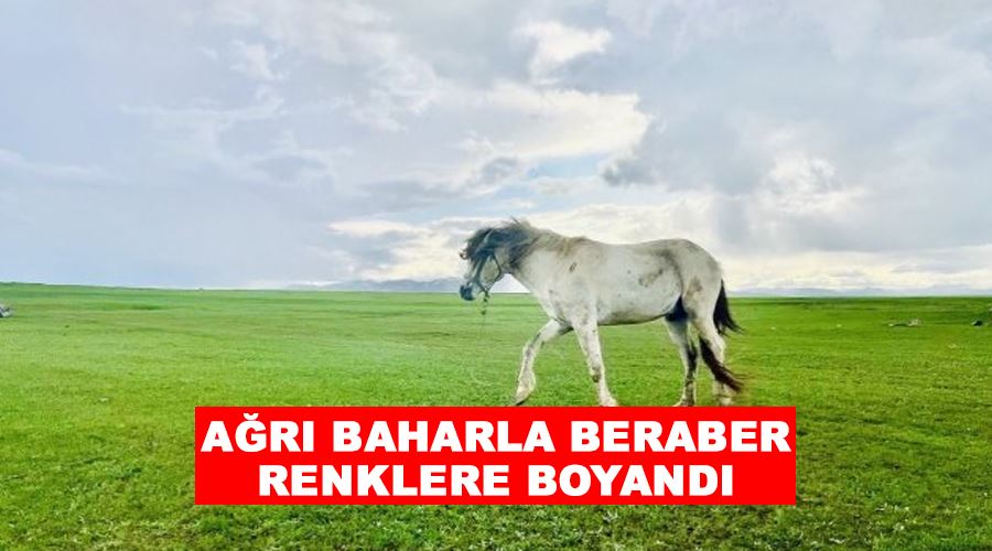 Ağrı baharla beraber renklere boyandı