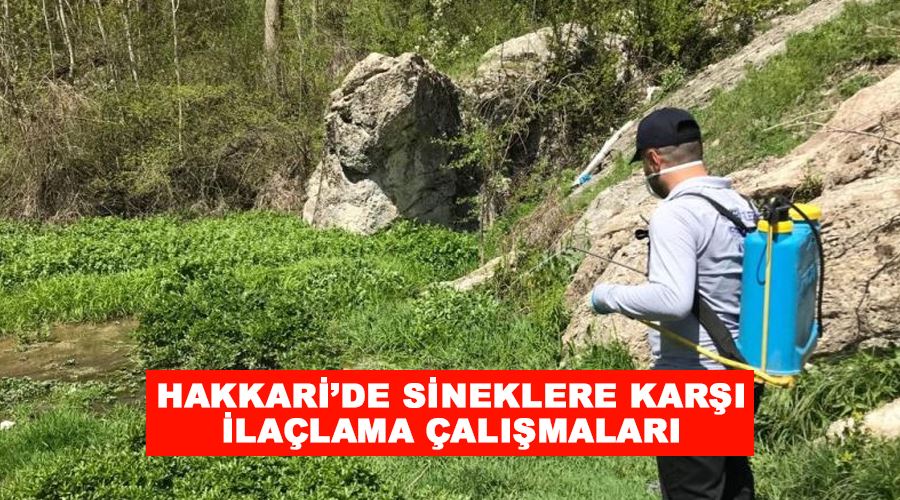 Hakkari’de sineklere karşı ilaçlama çalışmaları