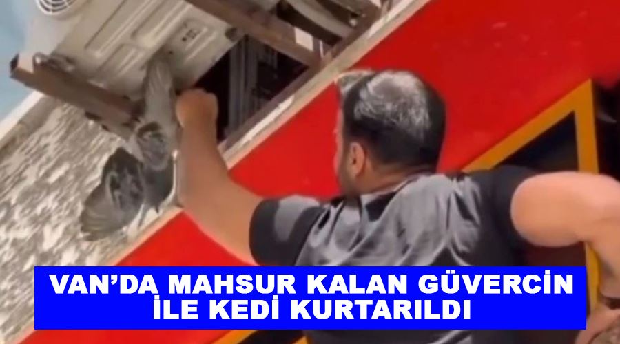 Van’da mahsur kalan güvercin ile kedi kurtarıldı
