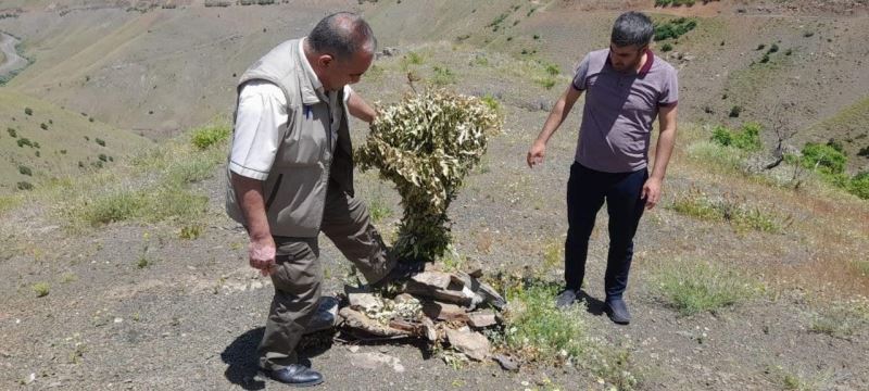 Elazığ’da kaçak avcılığın önlenmesi için denetimler sürüyor
