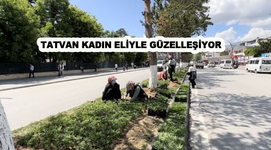 Tatvan kadın eliyle güzelleşiyor