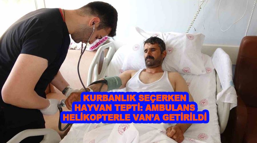 Kurbanlık seçerken hayvan tepti: Ambulans helikopterle Van’a getirildi