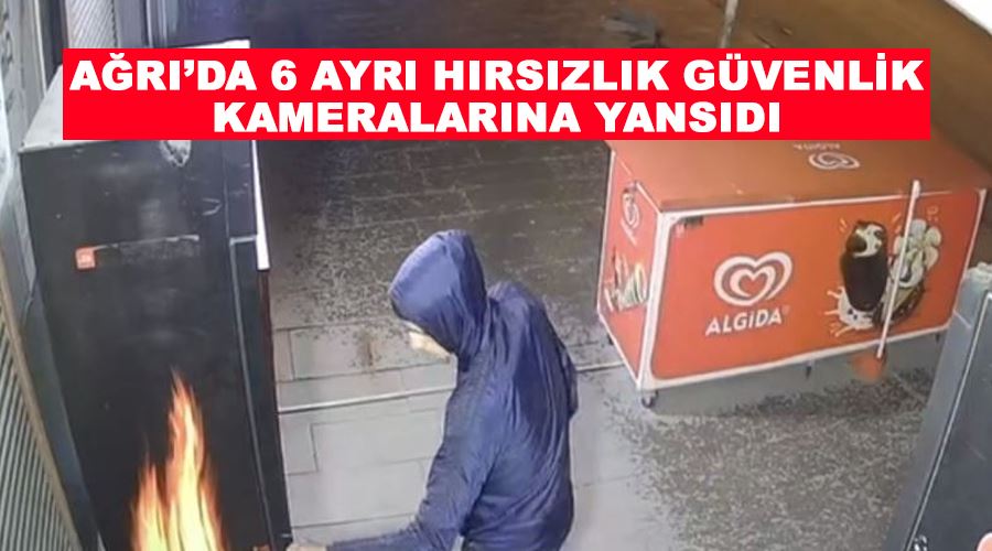 Ağrı’da 6 ayrı hırsızlık güvenlik kameralarına yansıdı