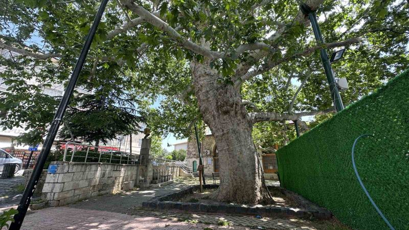 Evliya Çelebi gölgesinde not almıştı, ağırlığını kaldıramayınca güçlendirildi
