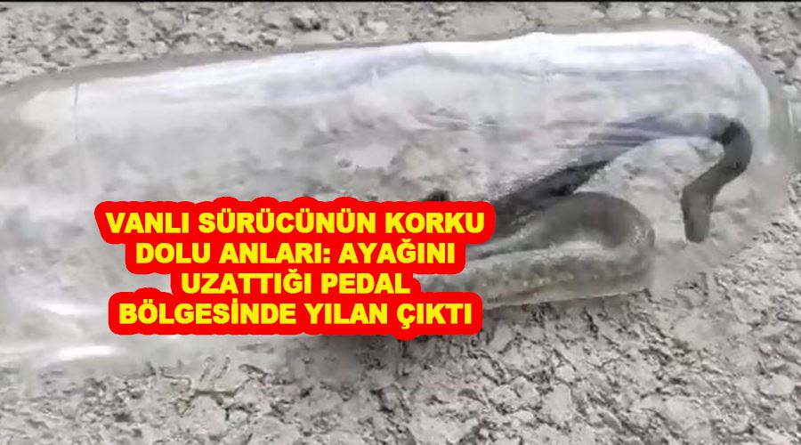 Vanlı sürücünün korku dolu anları: Ayağını uzattığı pedal bölgesinde yılan çıktı