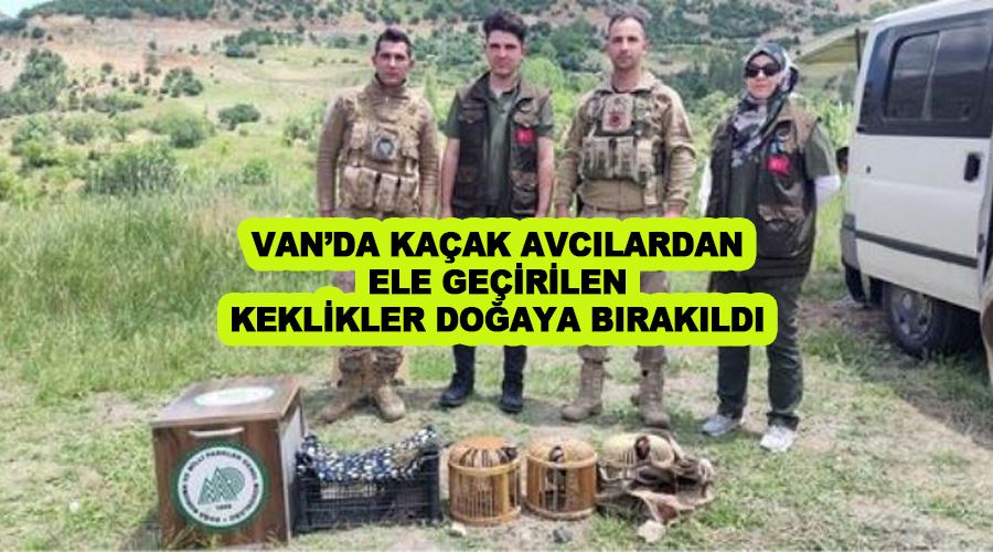 Van’da kaçak avcılardan ele geçirilen keklikler doğaya bırakıldı