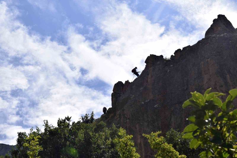 Dağcılar Kemaliye’de kaya tırmanışı gerçekleştirdi

