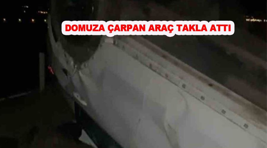 Domuza çarpan araç takla attı