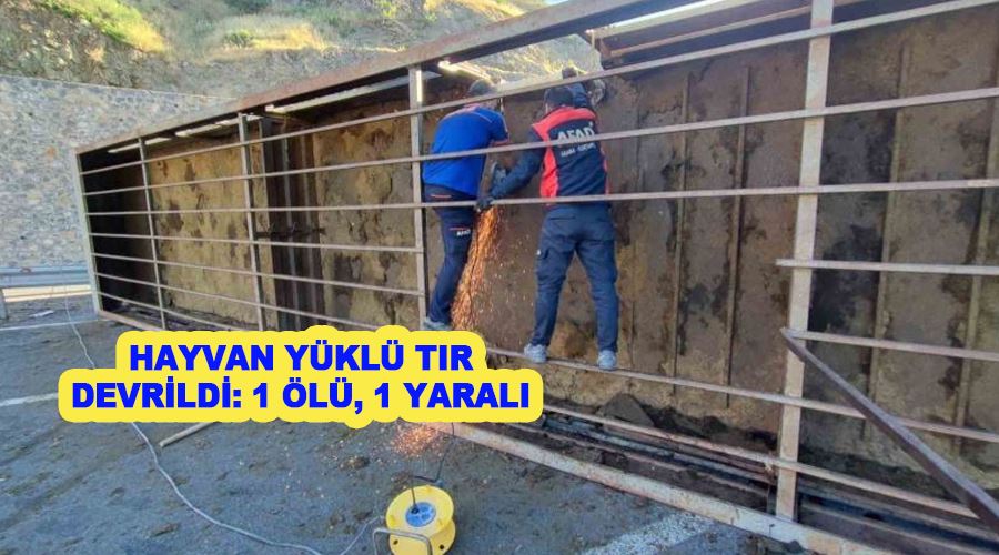 Hayvan yüklü tır devrildi: 1 ölü, 1 yaralı