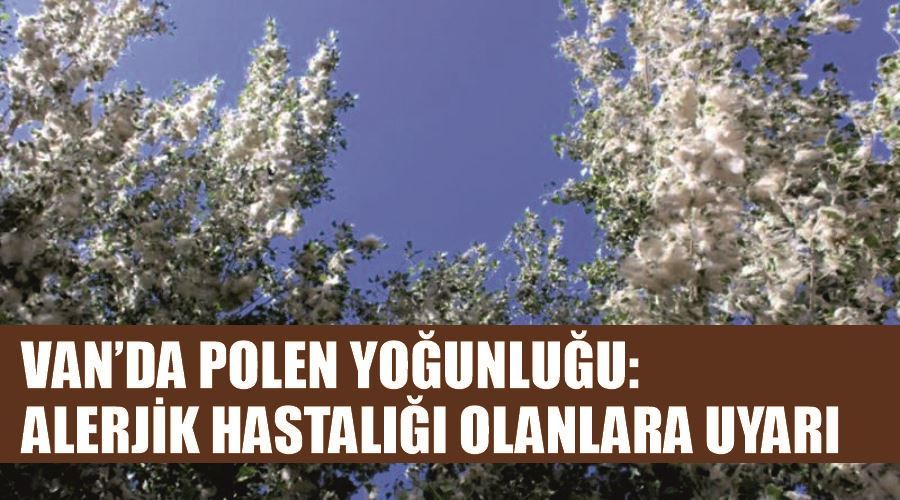 Van’da polen yoğunluğu: Alerjik hastalığı olanlara uyarı