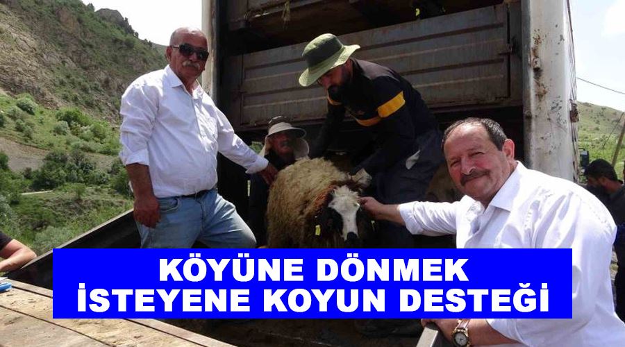 Köyüne dönmek isteyene koyun desteği