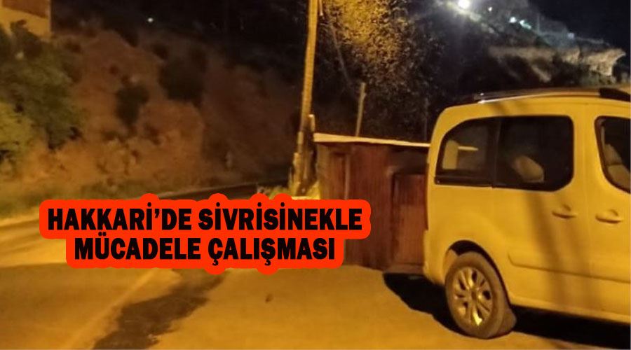 Hakkari’de sivrisinekle mücadele çalışması