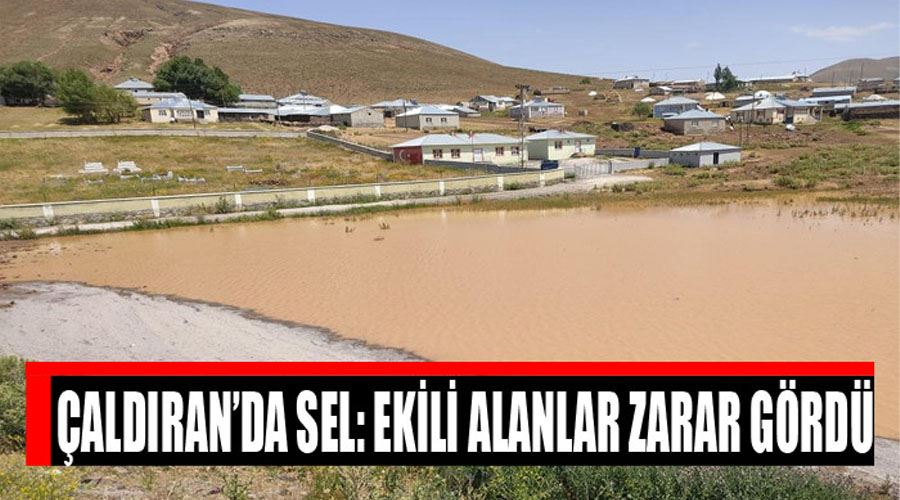 Çaldıran’da sel: Ekili alanlar zarar gördü