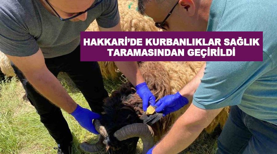 Hakkari’de kurbanlıklar sağlık taramasından geçirildi