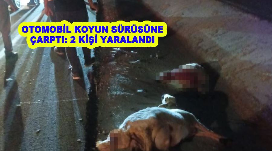 Otomobil koyun sürüsüne çarptı: 2 kişi yaralandı