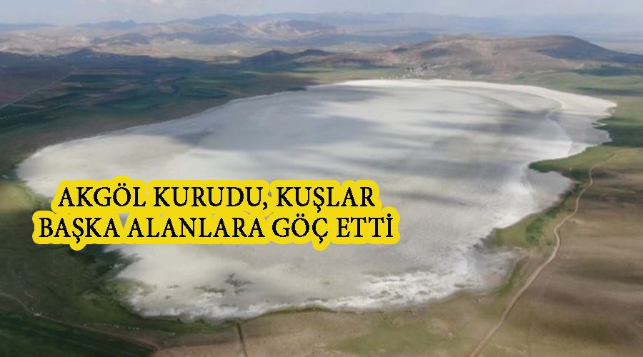 Akgöl kurudu, kuşlar başka alanlara göç etti