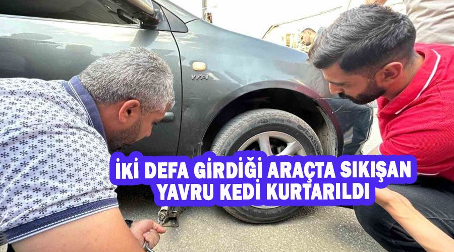 İki defa girdiği araçta sıkışan yavru kedi kurtarıldı
