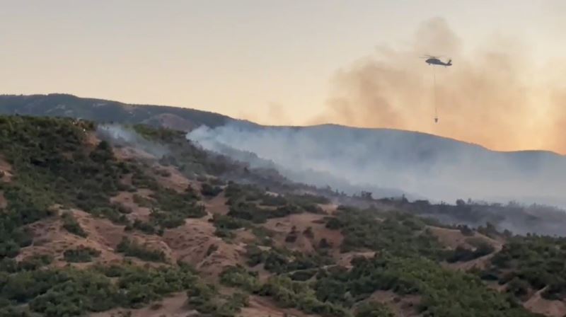 Bingöl’de orman yangınına müdahale sürüyor
