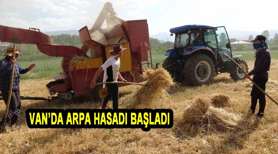 Van’da arpa hasadı başladı