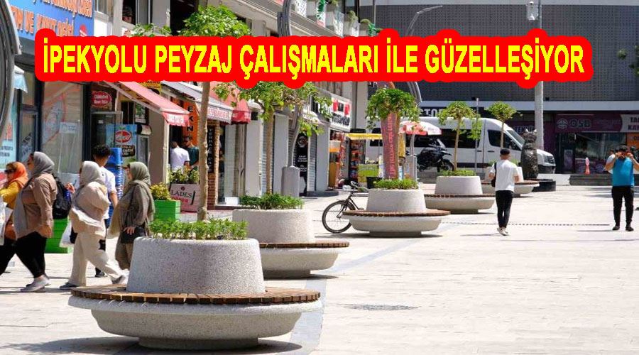İpekyolu peyzaj çalışmaları ile güzelleşiyor